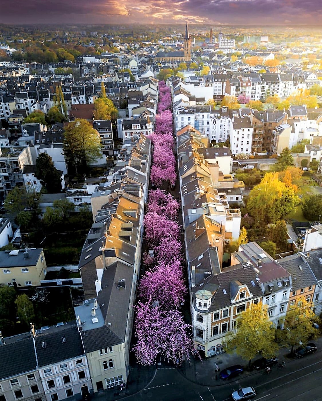 The Converse Blog Team Converse Continues To Grow Matt Bonner