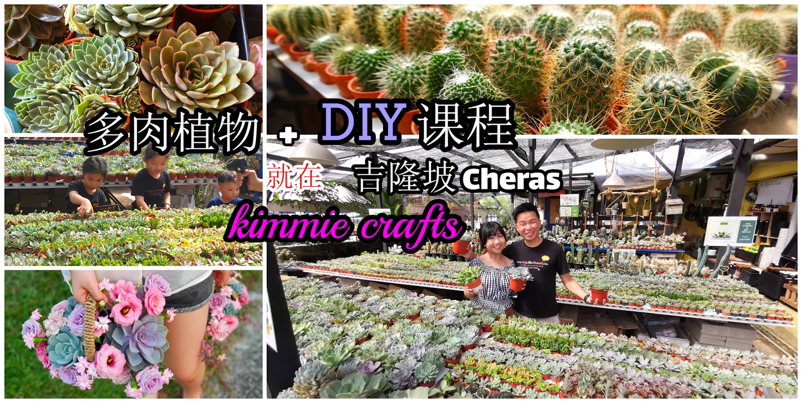 Kimmie Crafts 仙人掌和多肉植物 Diy 活动 旅游博客王宏量