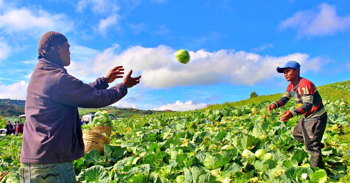 Why Help Our Local Farmers? Nomadic Experiences