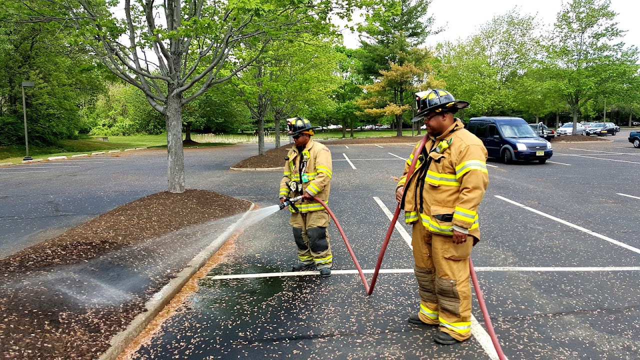 Mulch Mulch Fire Fire Choices