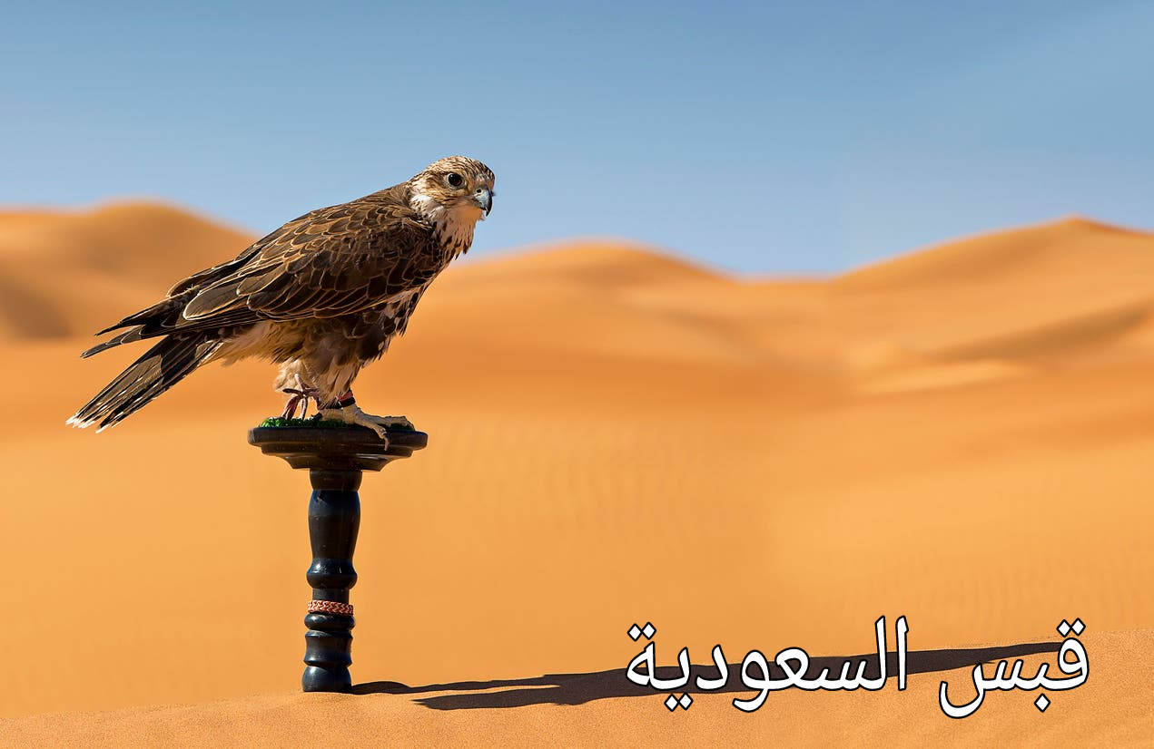غدا انطلاق مهرجان الملك عبد العزيز رحمه الله للصقور النسخة الثالثة غدا انطلاق مهرجان الملك عبد العزيز رحمه الله للصقور النسخة الثالثة