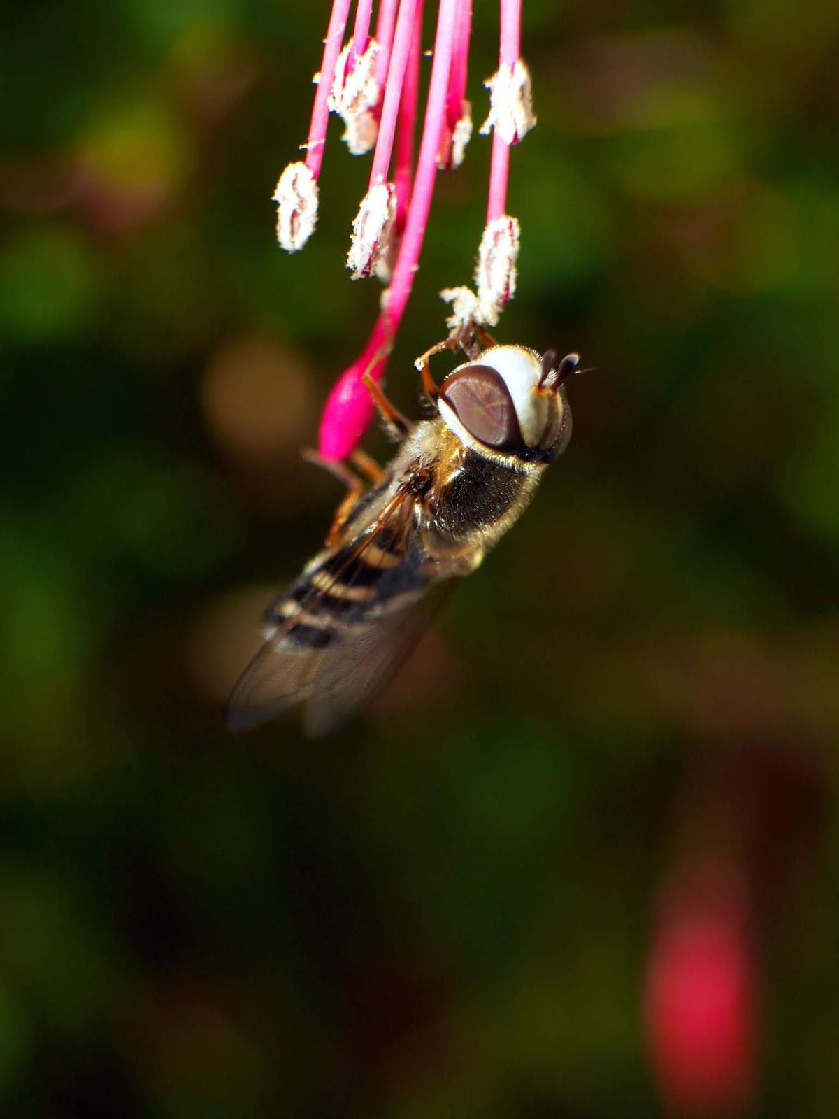 Notre Jardin Secret Meli Melo Printanier