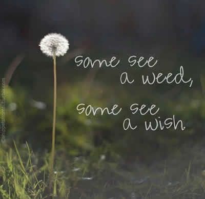 ...a wish