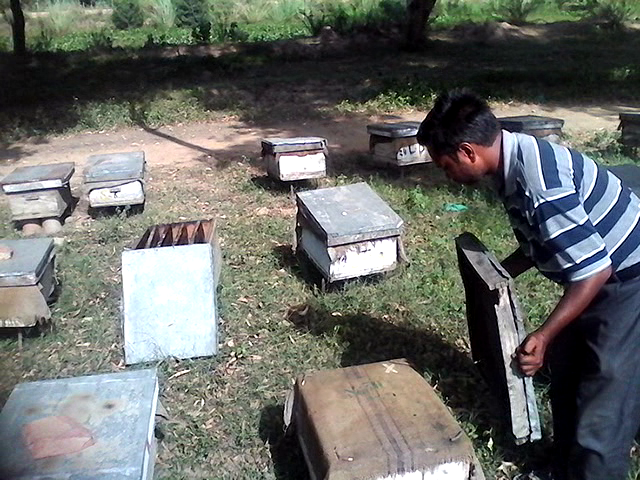 Inspection of closed hives