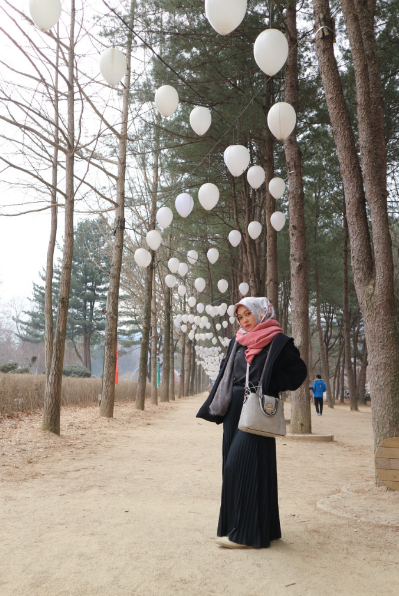 nami islands