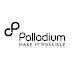 Job Opportunity at Palladium Tanzania, Programme Manager
