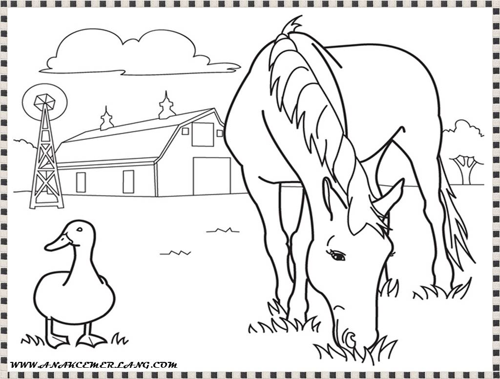 contoh gambar mewarnai kuda