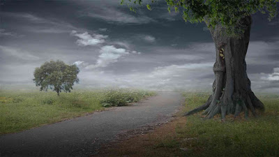 Free Images Stock Background Photos free images, background images, background stock, background, nature background, free stock background image, free stock photos