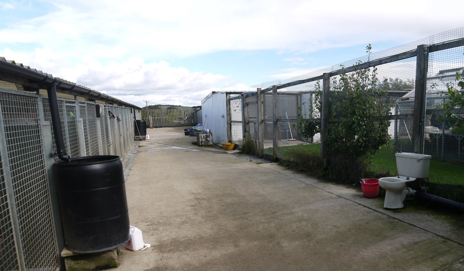 Ernest Wilson Nobody Sells Businesses Better! SOLD Sunnymead