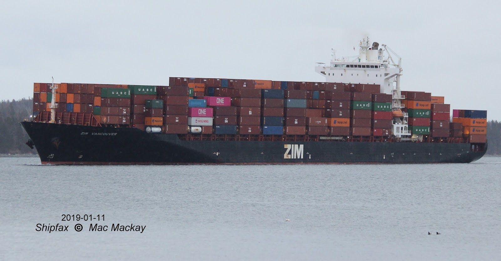 Shipfax: ZIM Friday