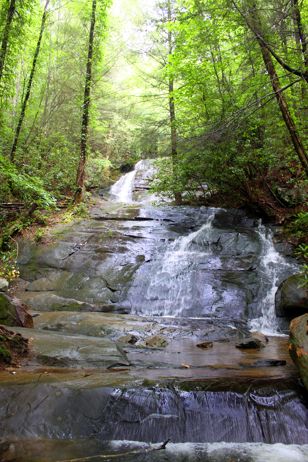 Southern Lagniappe Fall Branch Falls, Blue Ridge,