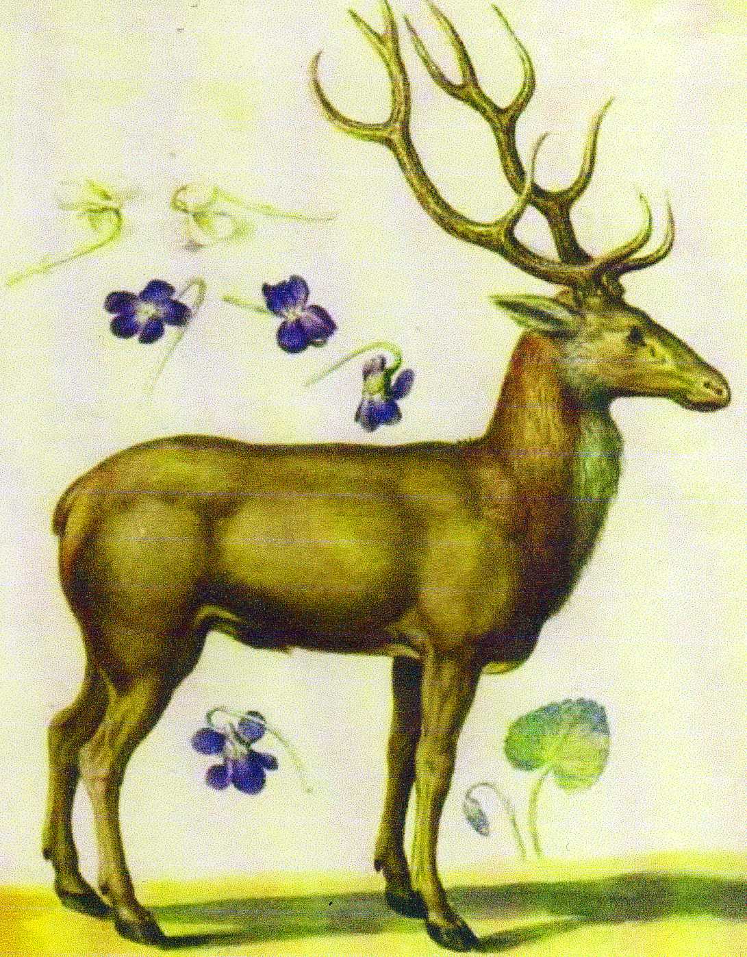 Au Bois des Biches Hercule La Biche de Cérynie alm Au Bois des Biches Hercule La Biche de Cérynie alm