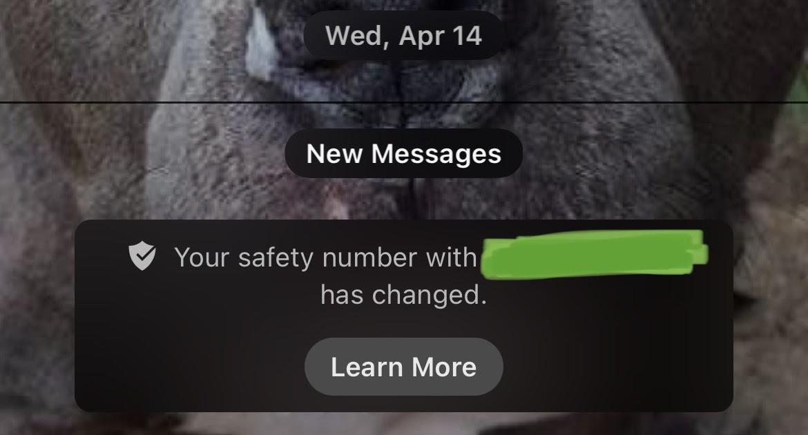 Signal provides a free, cross-platform private messenger app. Folks in all kinds of unsafe situations rely on Signal, as a highly visible and popular 