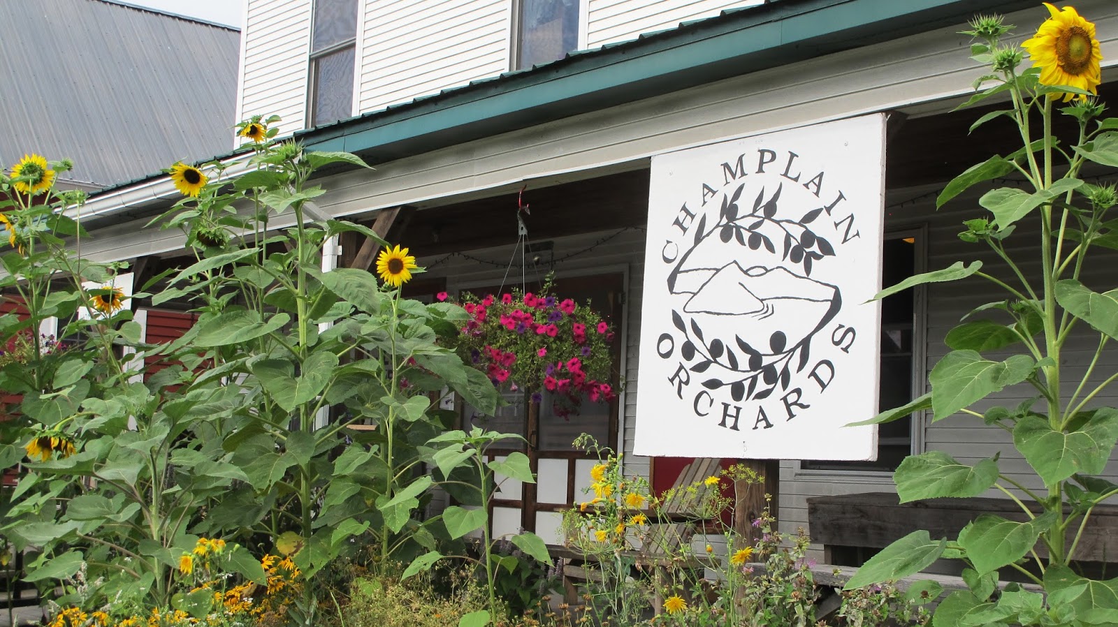 Along Came a Cider The Great Vermont Cider Tour, Day 2!