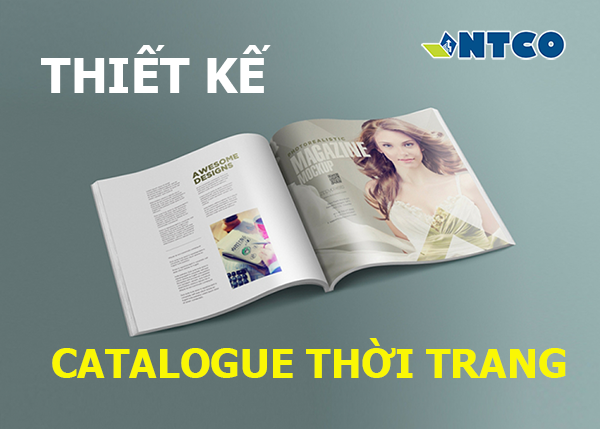 thiet ke catalogue