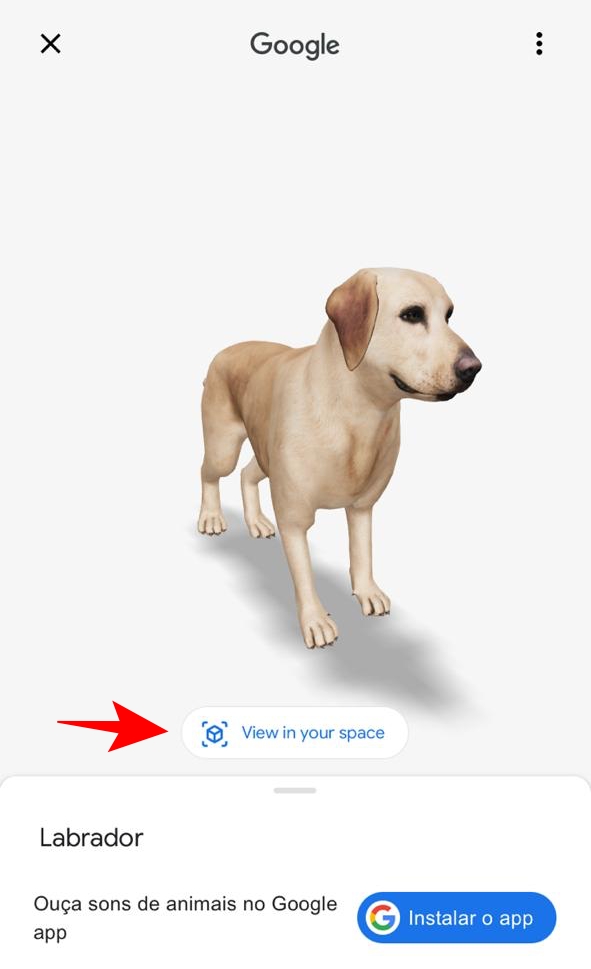 Veja como trazer animais 3D para dentro da sua casa com o Google
