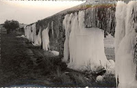 Fuente: https://www.tiempo.com/ram/numero41/imagenes/fredimage022.jpg
