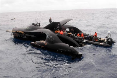 Organização Sea Shepherd alerta Japão contra o recomeço da caça a baleia
