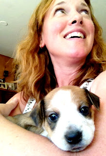 Ann Again and again - Brindle Terrier puppy 3 weeks old