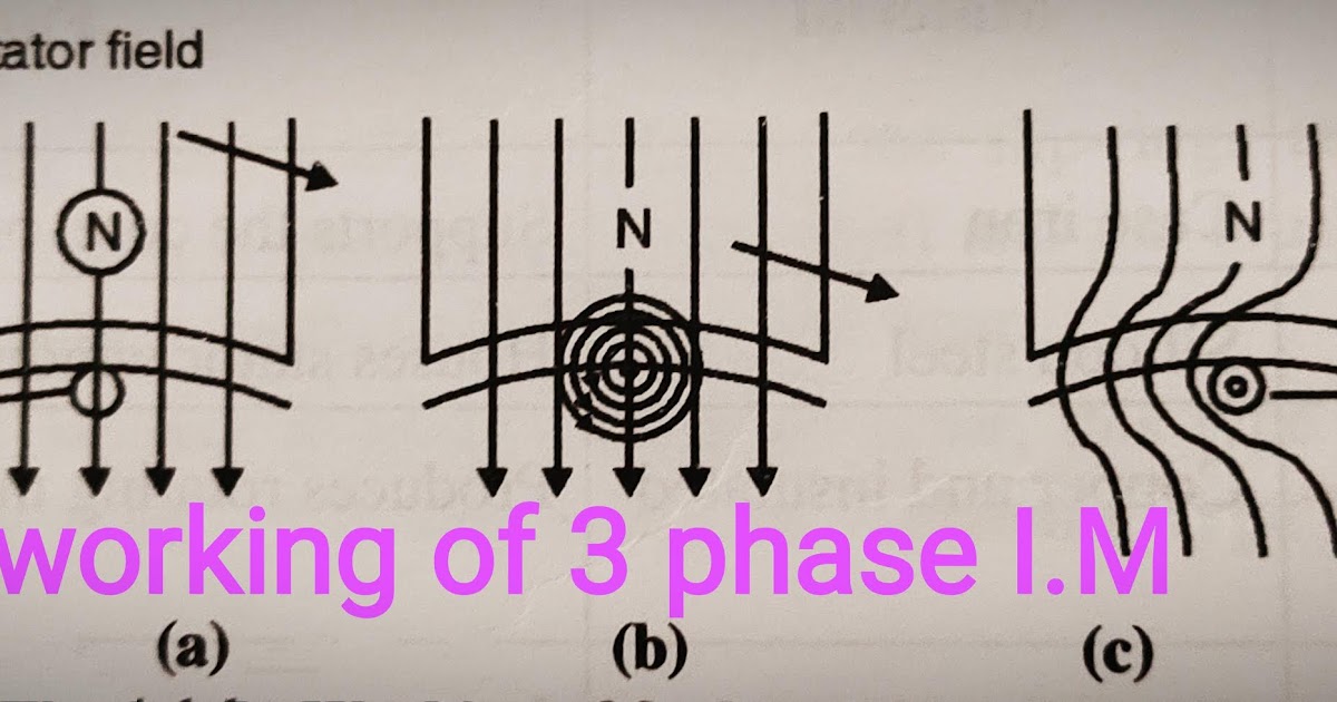 Working of 3 phase induction motor