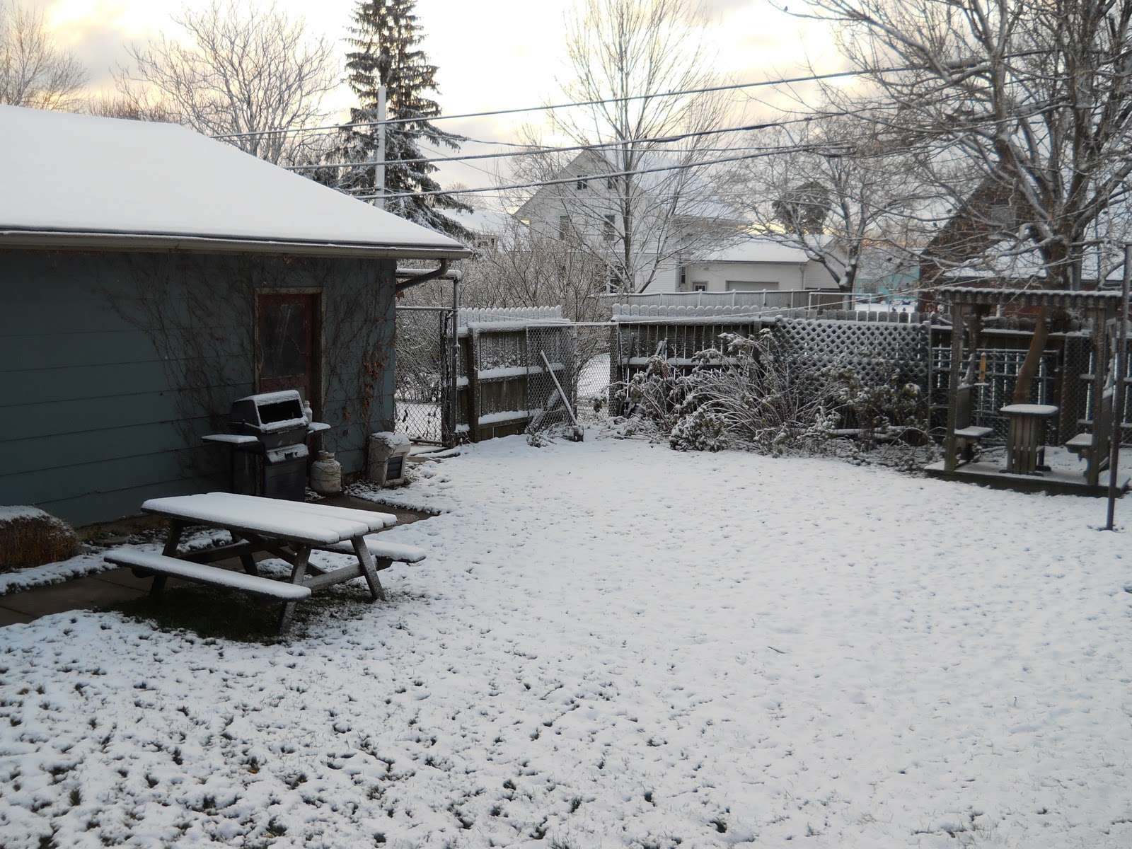 ___prh...a day in the life....Blogging since July 2007 Snowed Out