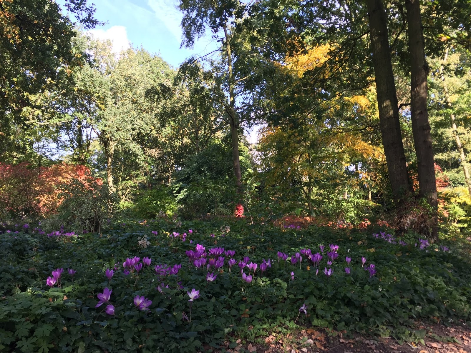 Writtle University College Landscape Blog Garden Design Students