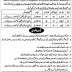 Jobs in Health Department Govt of Punjab 2020