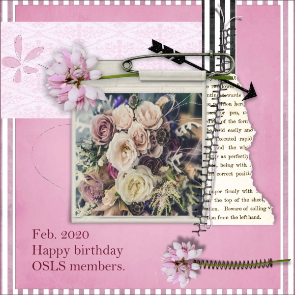 Feb.2020-Happy birthday OSLS members