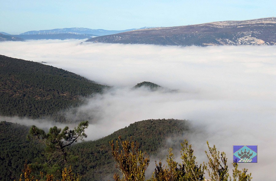 ZáLeZ "El bosque encantado" dentro de la ruta de los Duendes. Herrera