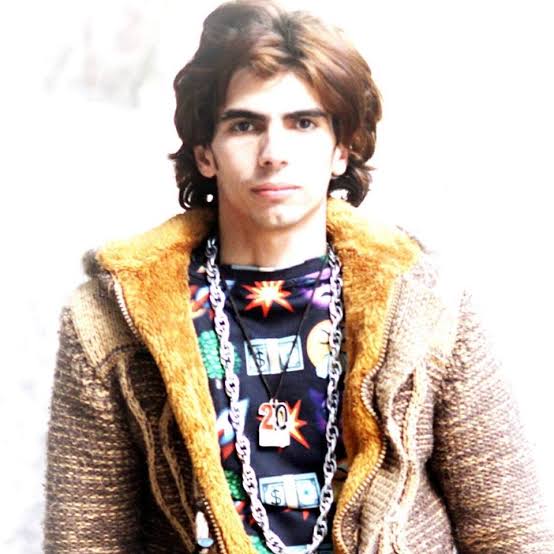 الفنان حسن البرنس الفنان حسن البرنس