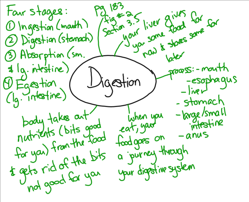 Miss Jeffrey's SBI3C: Tuesday, April 10, 2012