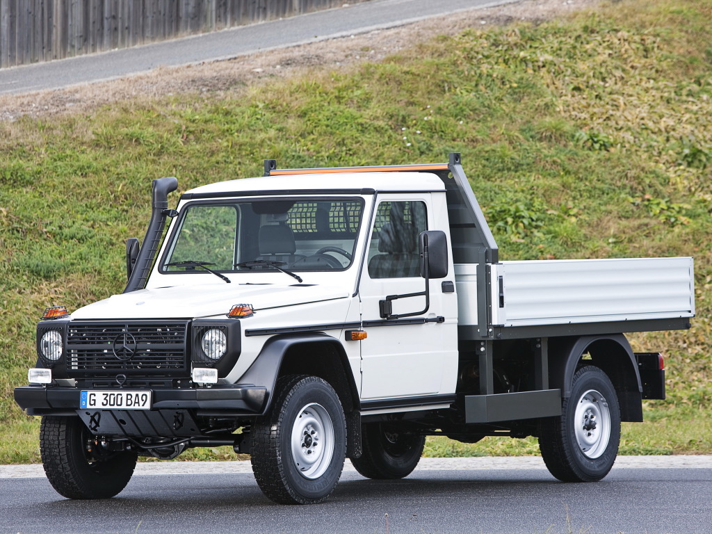Mercedes Benz g300 CDI professional