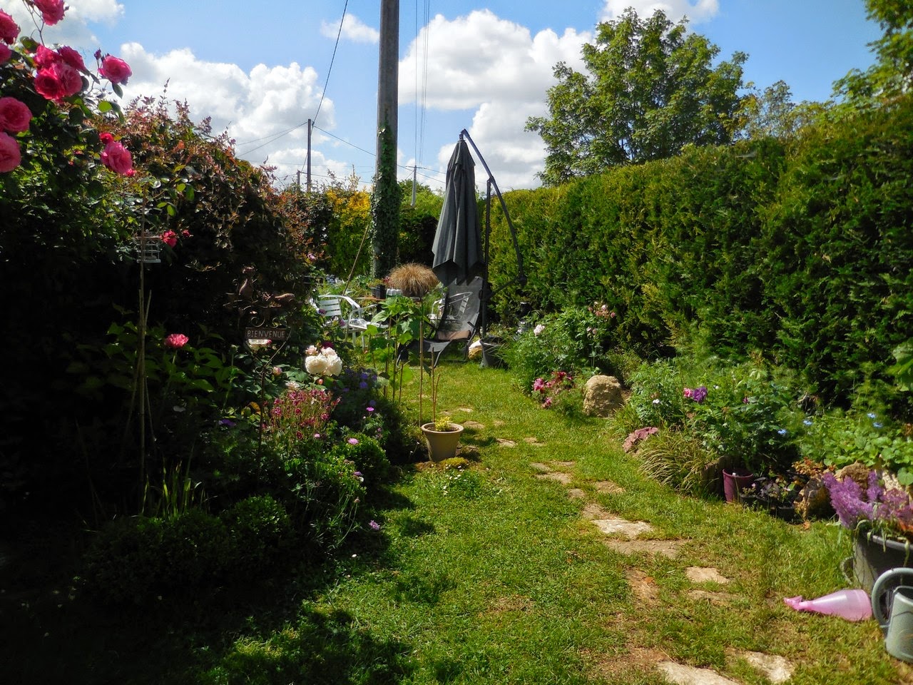 Cagouille S Garden Plantation Des Derniers Achats