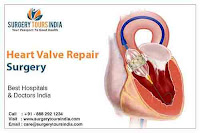 Heart Valve Repair Treatment