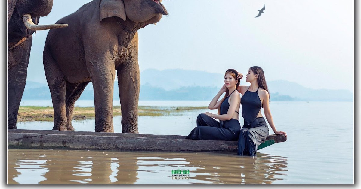 Hot girl…Thảo Chi vs Kim Phụng…