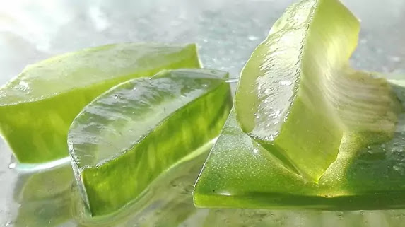 aloe vera cut piece