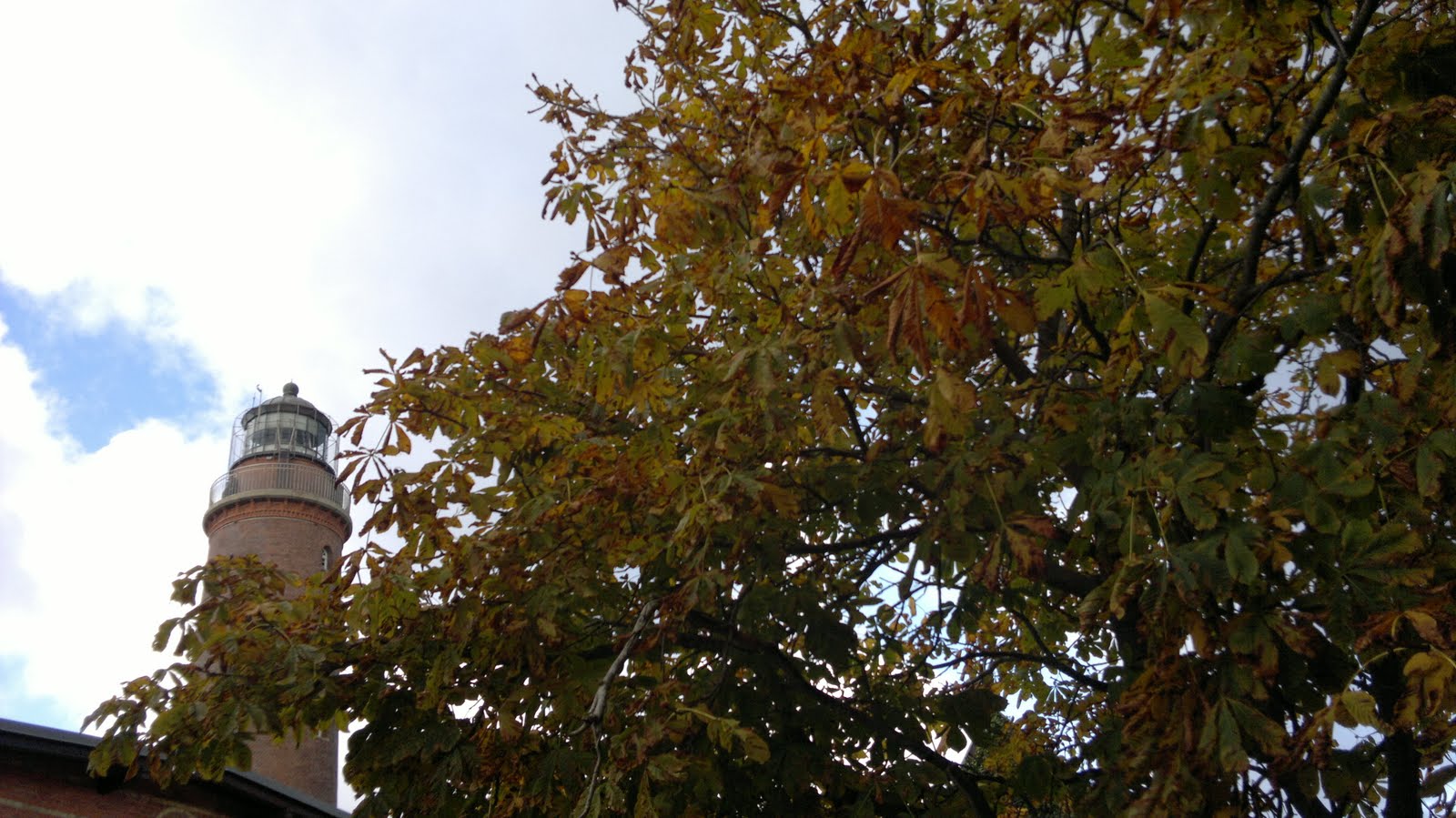 Darss-Seeadler: Herbst 2011 in Prerow Haus Seeadler