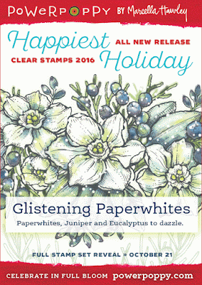 http://powerpoppy.com/products/glistening-paperwhites
