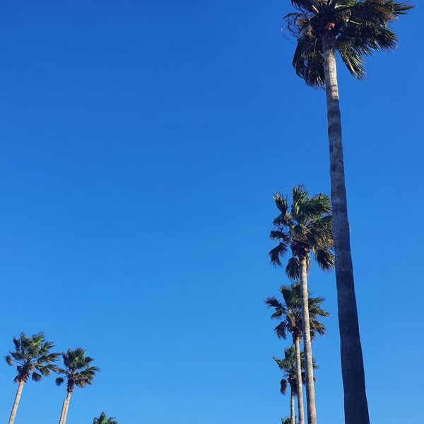 Mabinc – Let’s take a walk – EP