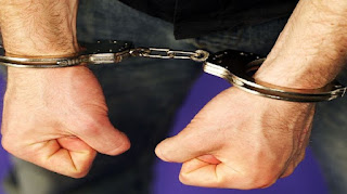 Μεσσηνία: Συνελήφθησαν δύο άτομα για διακεκριμένες περιπτώσεις κλοπών