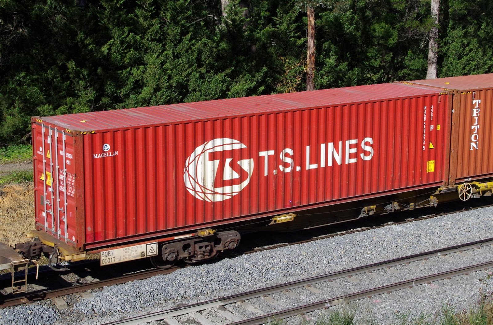 Rollingstock News TS Lines Variety