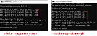 hasil sebelum dan setelah menggunakan mangle change ttl