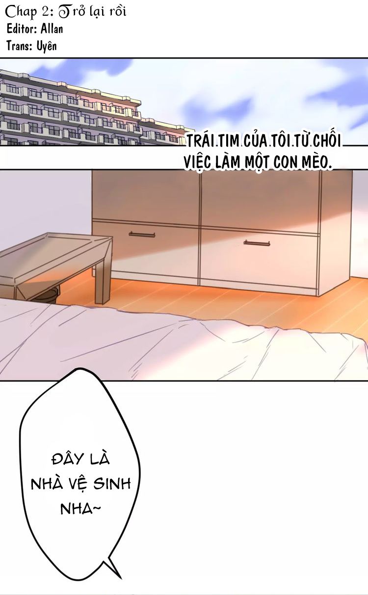 Đọc truyện Thế giới của một chú mèo - Chapter 2