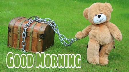 Good morning Images Good morning Images