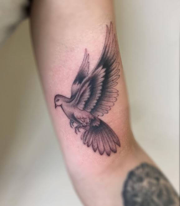 101 Peace Dove Tattoos For Men and Women (2018) TattoosBoyGirl
