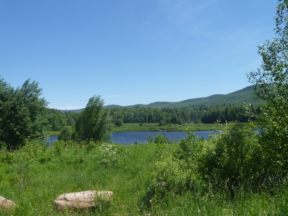 Travel Wolfe The Warren Blueberry Lake Loop