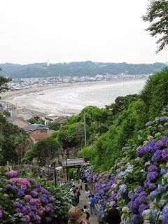 ���q���A�@�̃A�W�T�C