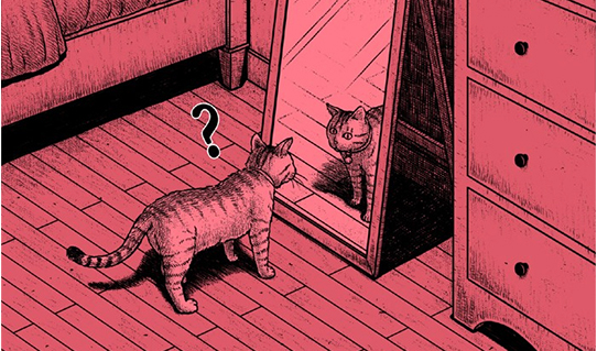 Hắc Ám Truyện #168: Con mèo