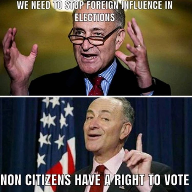 Schumer.png