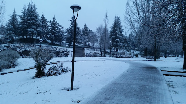 Nieve en Ifrane